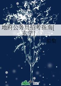 我在地府考公那些年[玄学]